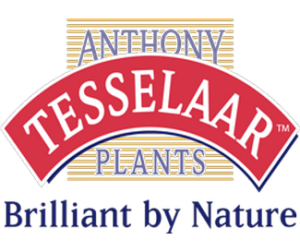 Anthony Tesselaar Plants