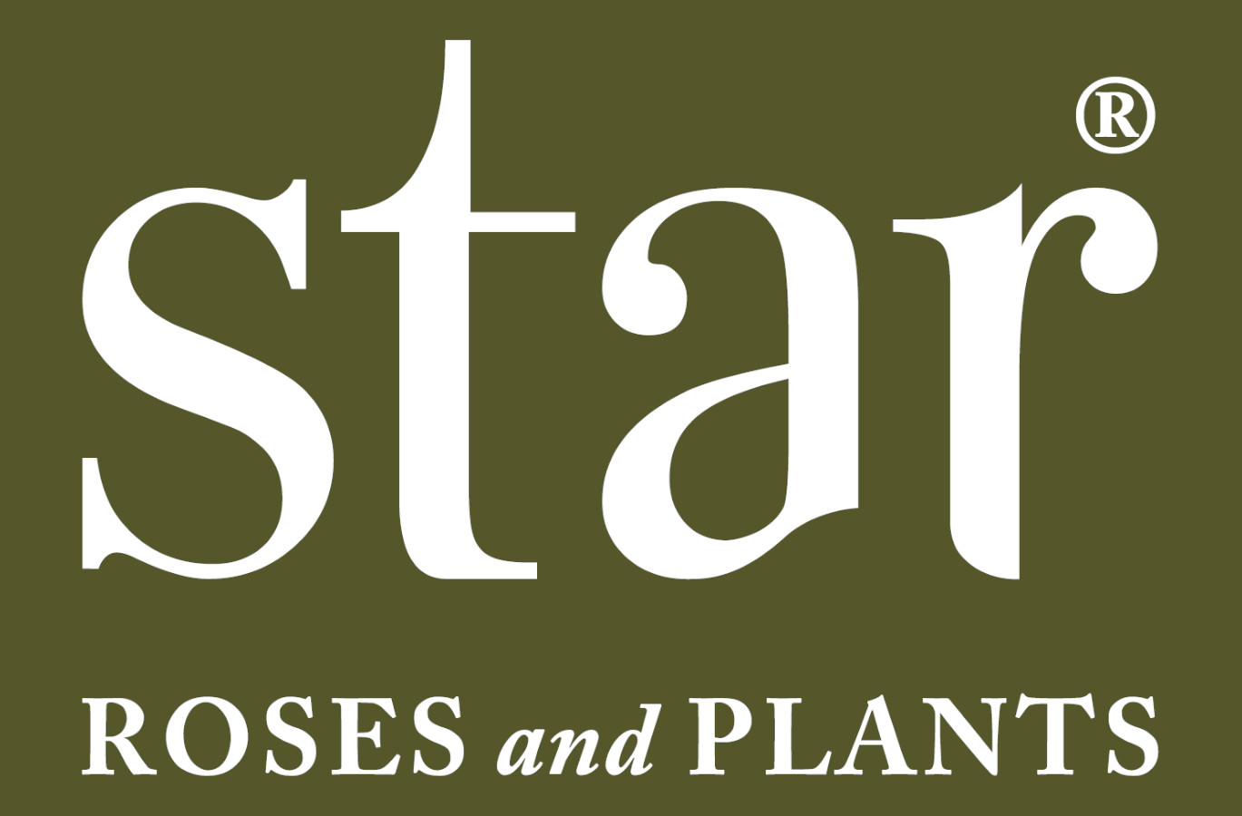 star roses and plants logo